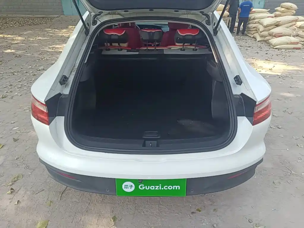 Baojun RC-6 2020 2019 1.5T Manual 24-hour Online Elite