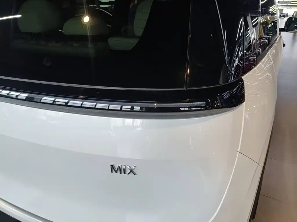 ZEEKR MIX 2026 2025 Smart Driving Edition