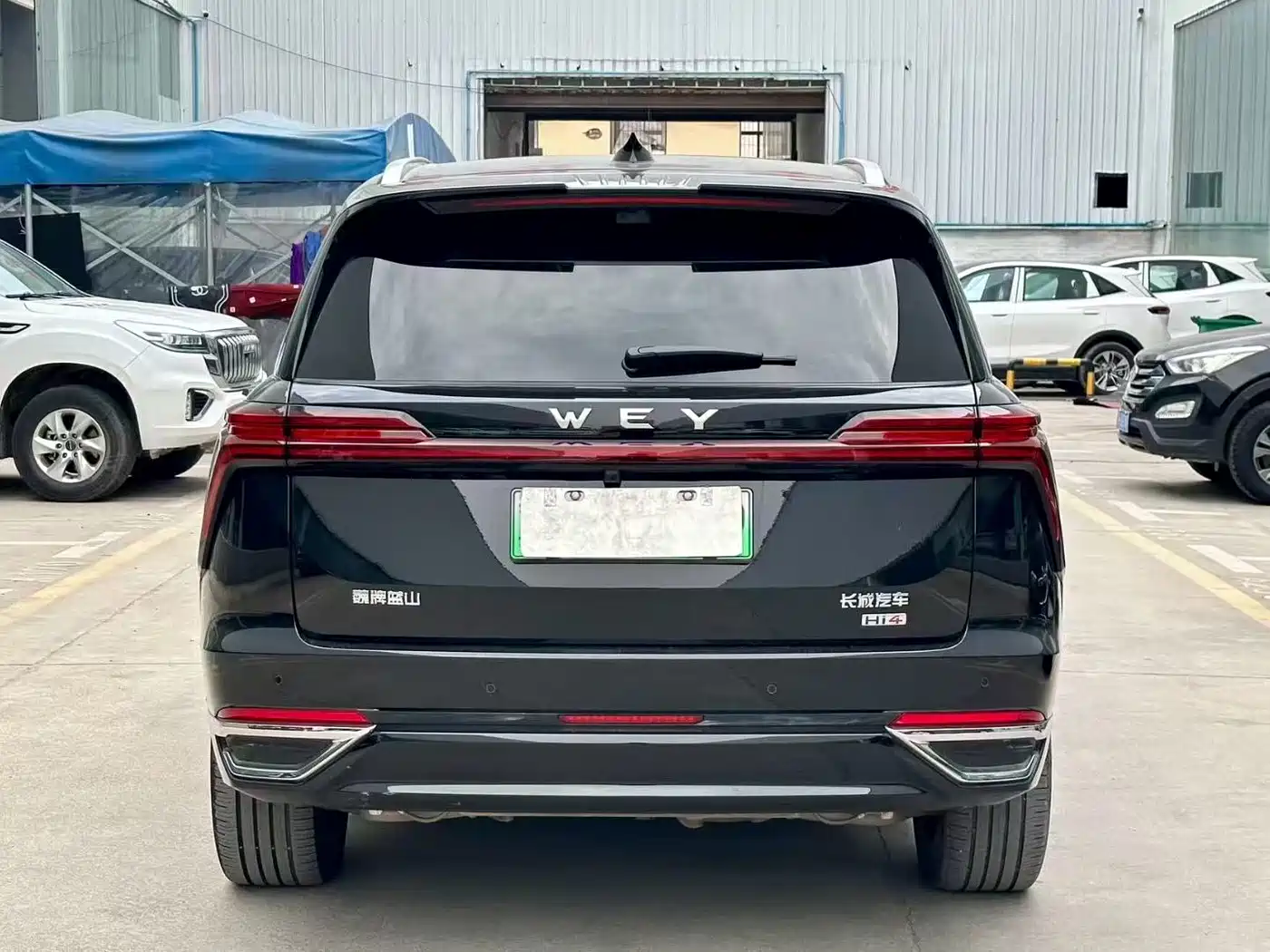 WEI PAI WEI BRAND BLUE MOUNTAIN