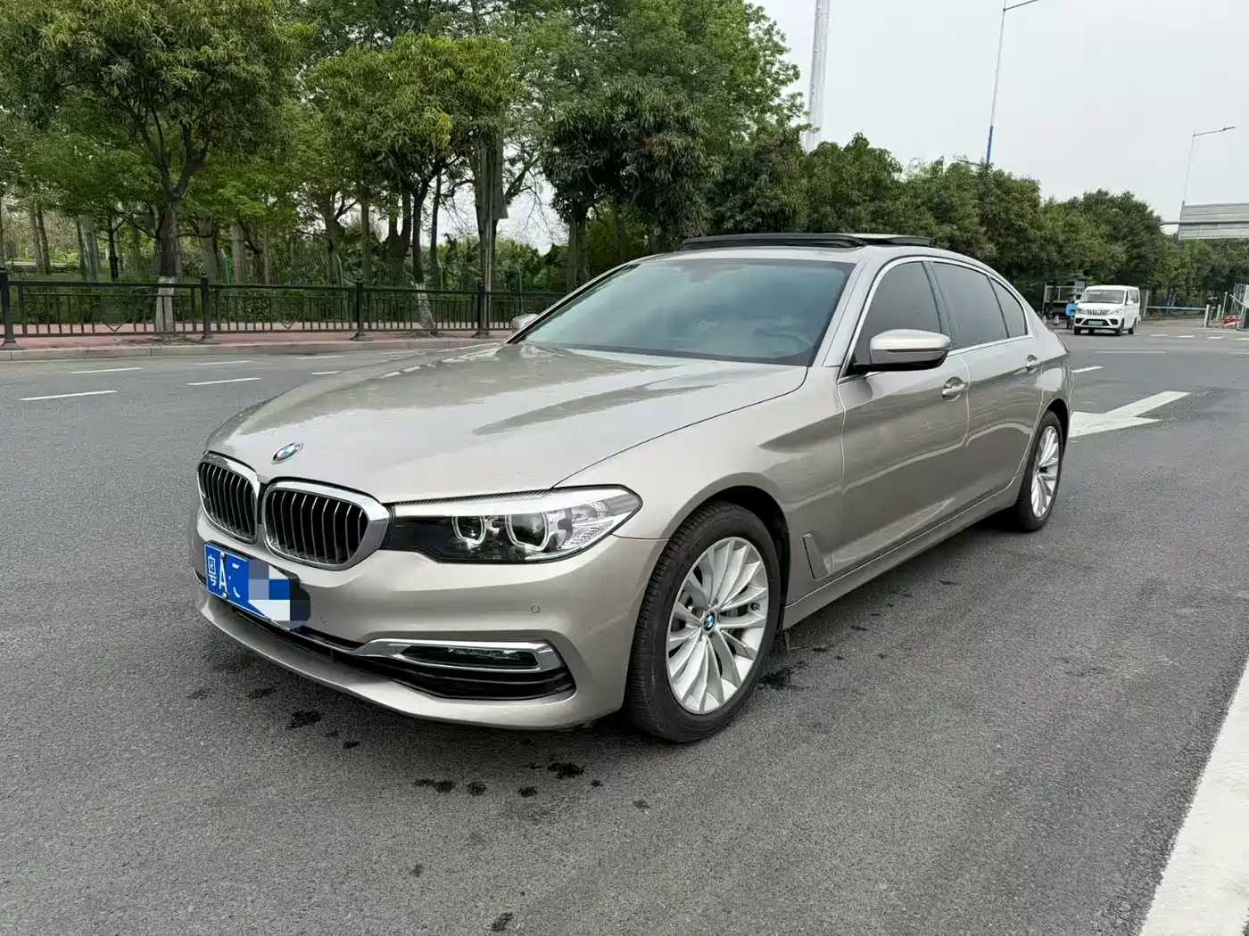 BMW 5 Series 2019 530Li Leading Luxury Package