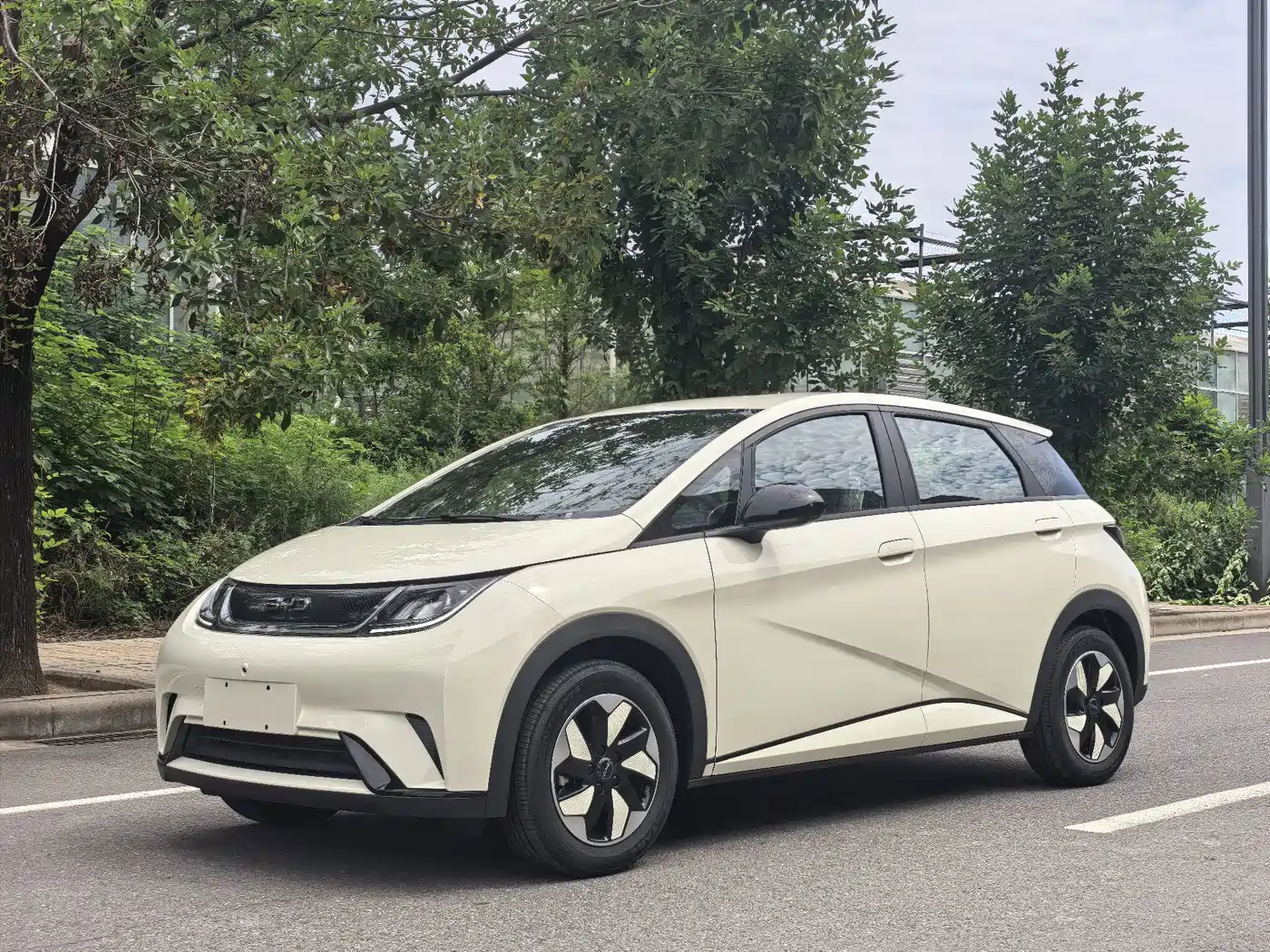 2026 BYD Dolphin