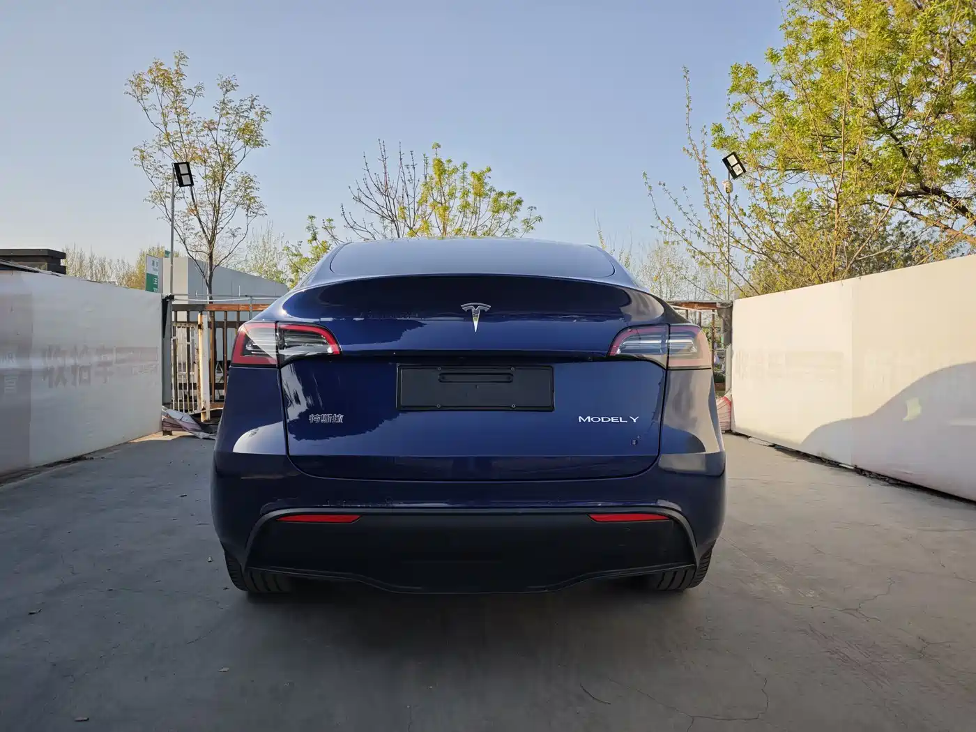 TESLA MODEL Y