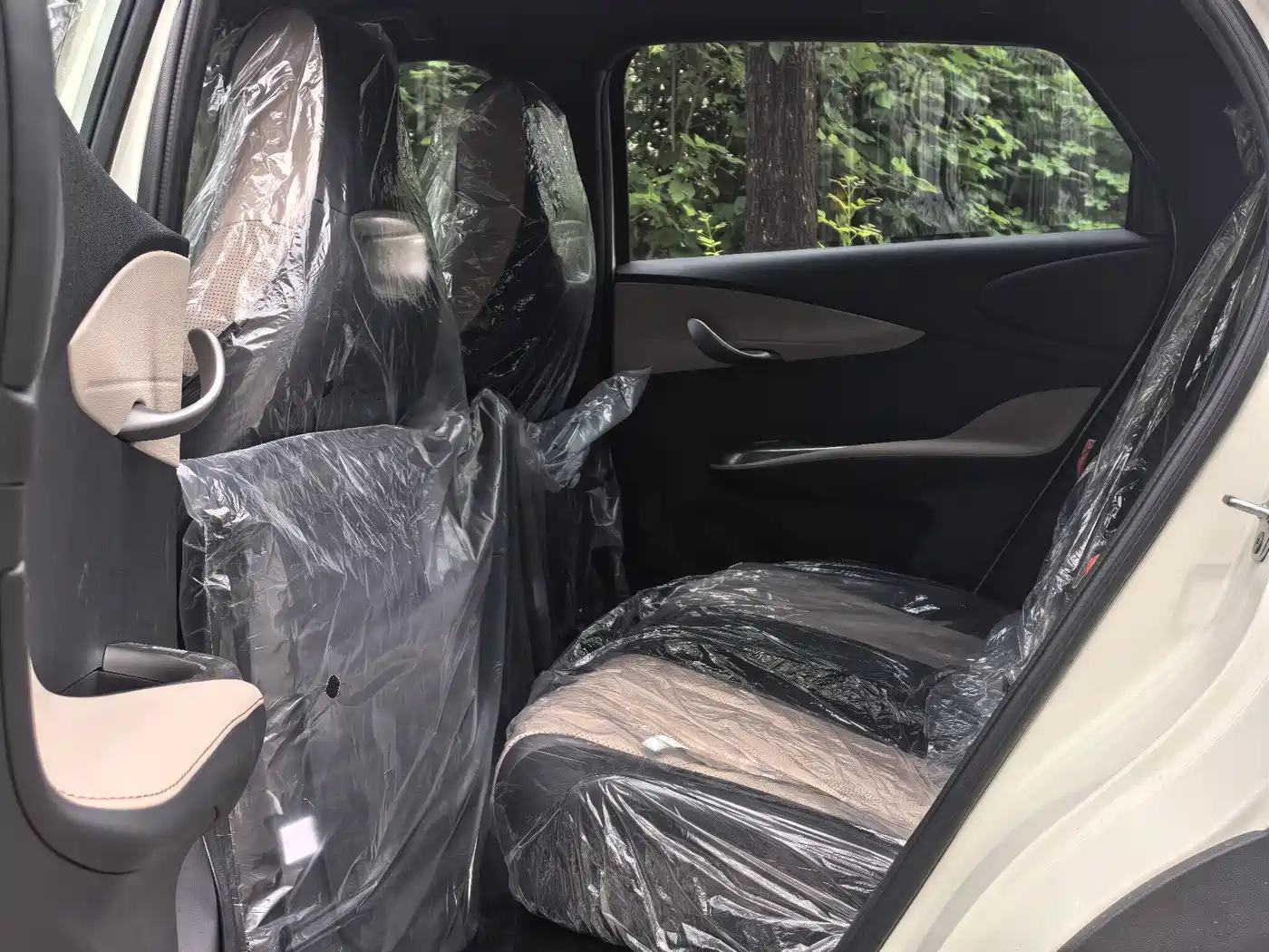 BYD Dolphin 2026 2025 420km Freedom Edition
