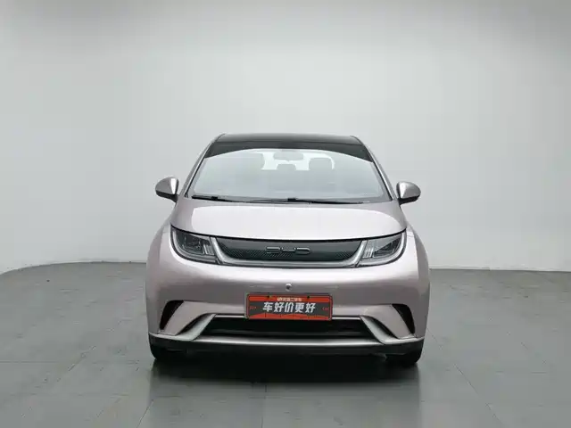 BYD Dolphin 2021 Model 405km Fashion Edition — фото 3