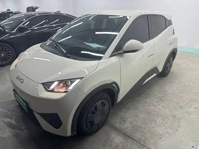BYD Seagull 2025