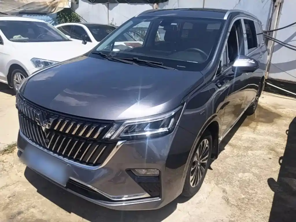 Wuling Motors Wuling Jiachen 2024 2022 1.5T CVT Exclusive Flagship Model