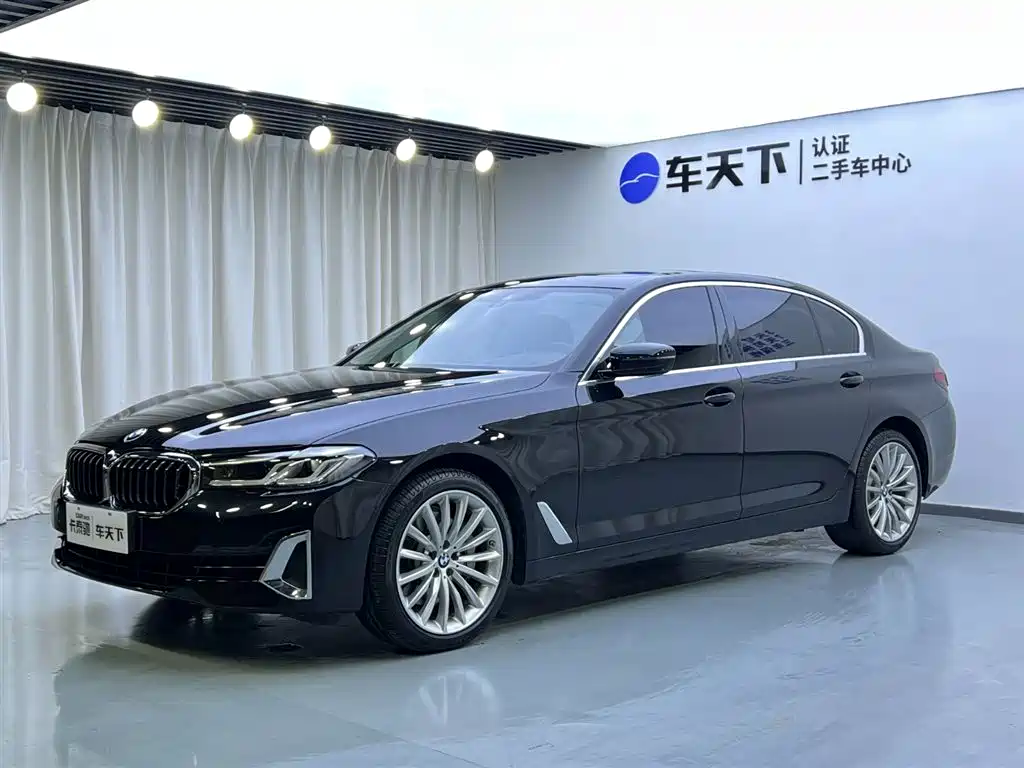 BMW 5 Series 2021 530Li Premium Luxury Package