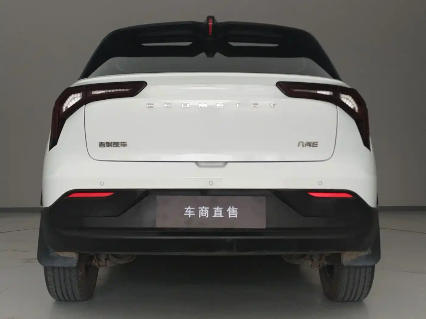 Geely Geometry E Firefly 2023 2023 401KM Thunderbolt Tiger 5-Seater