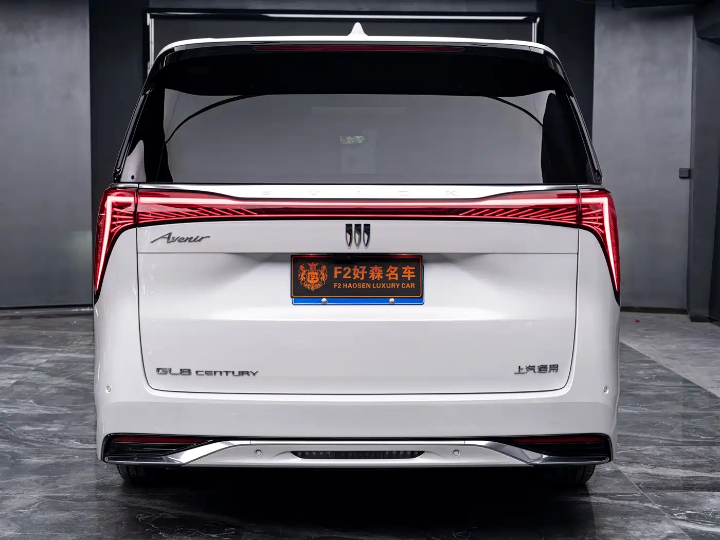 Buick Century 2023 2.0T 6-Seat World Edition фото 6