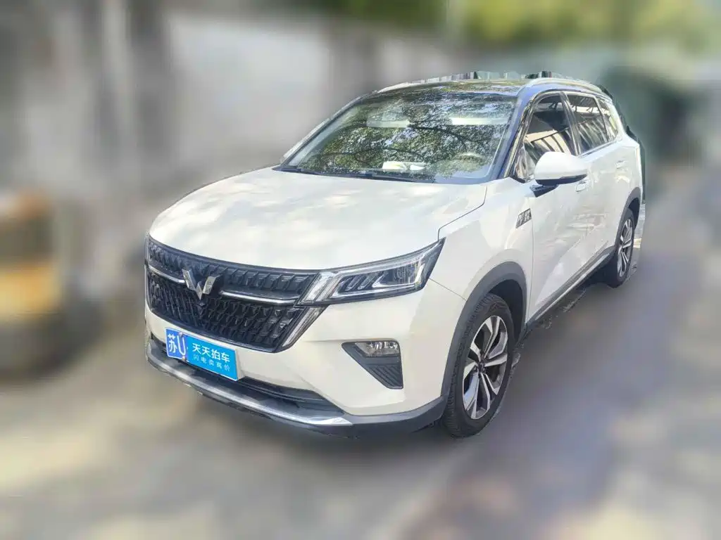 Фото 1 - Wuling Motors Wuling Xingchen