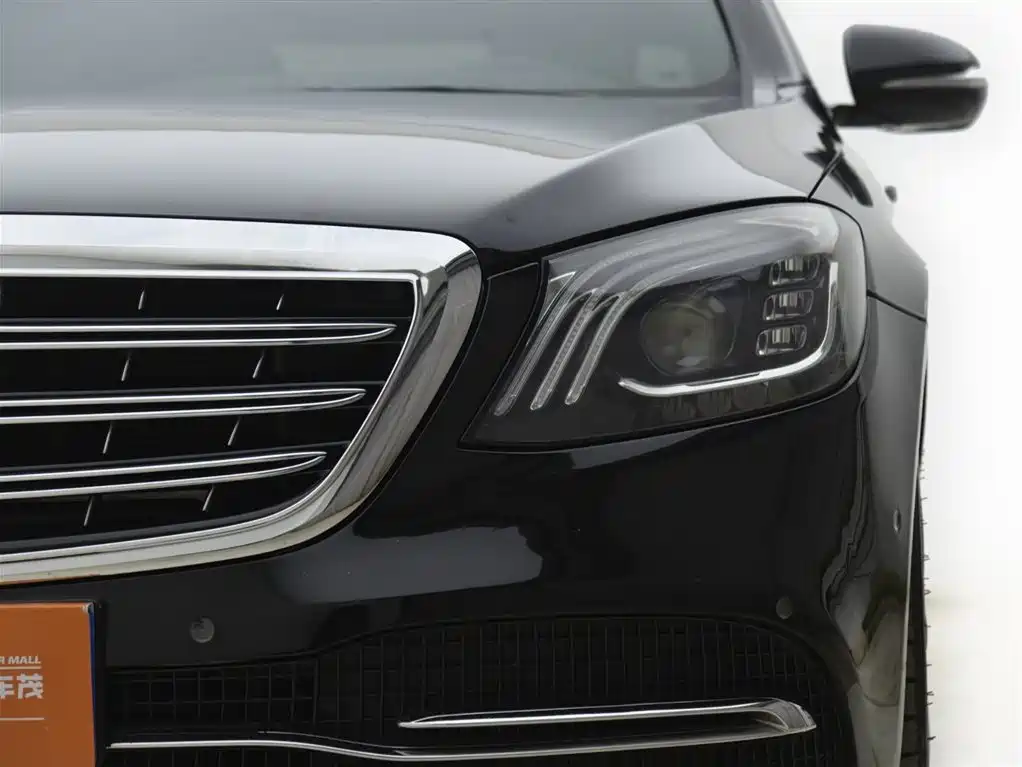 Mercedes-Benz S-Class 2020 S 350 L Business Edition Collector's Version фото 13