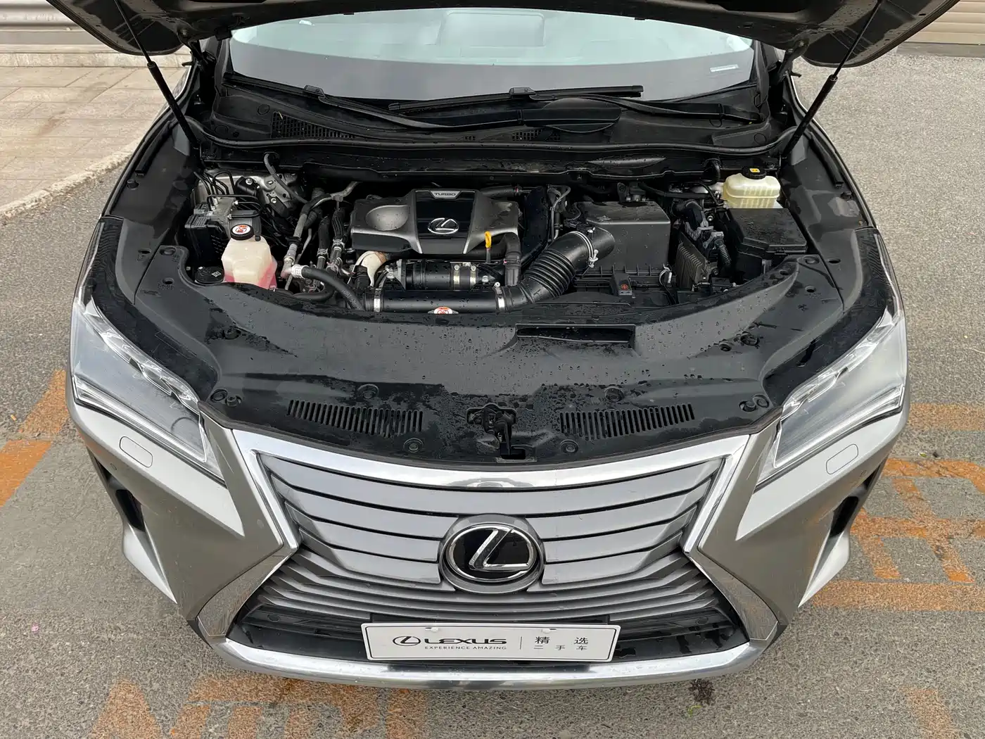 Lexus RX 2016 300 4WD Elegance Edition (China V) фото 8