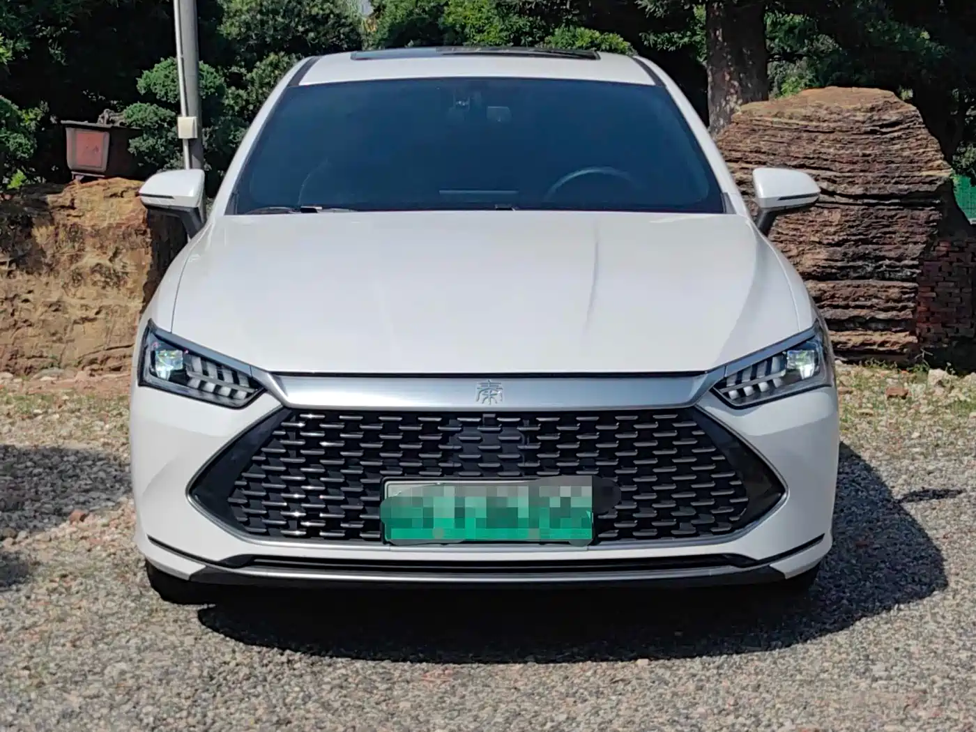 BYD Qin PLUS 2021 DM-i 55KM Flagship фото 2