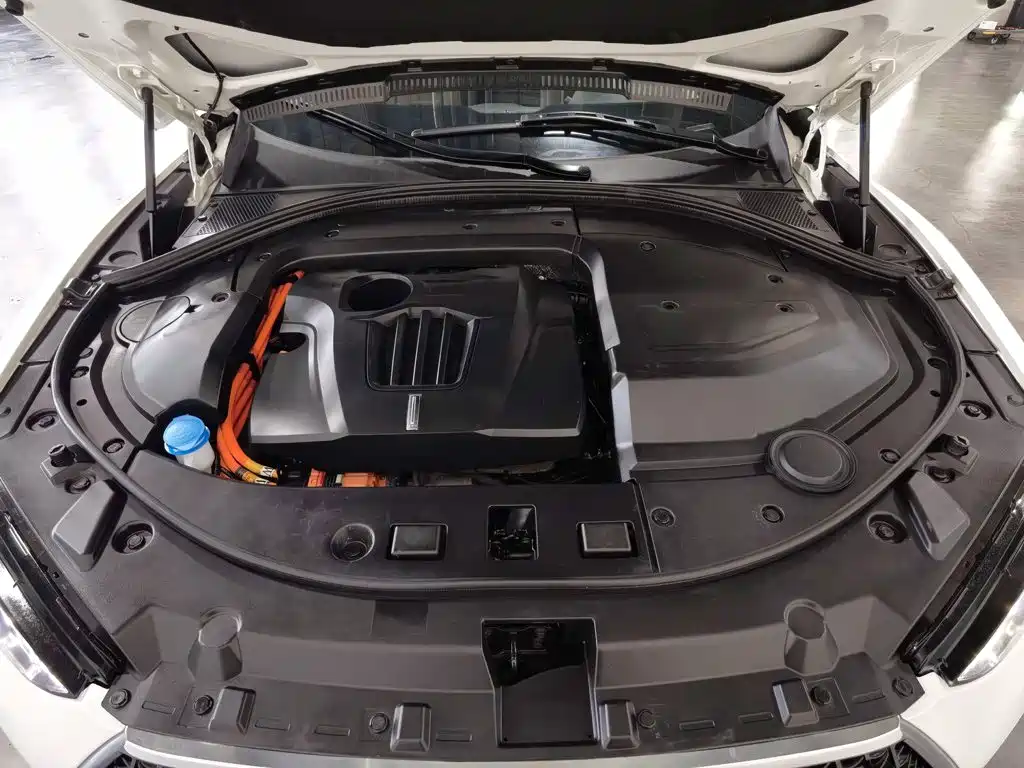WEY P8 2018 2018 2.0T Flagship Model