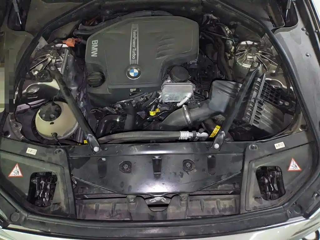 BMW 5 Series 2014 525Li Luxury Design Package фото 11