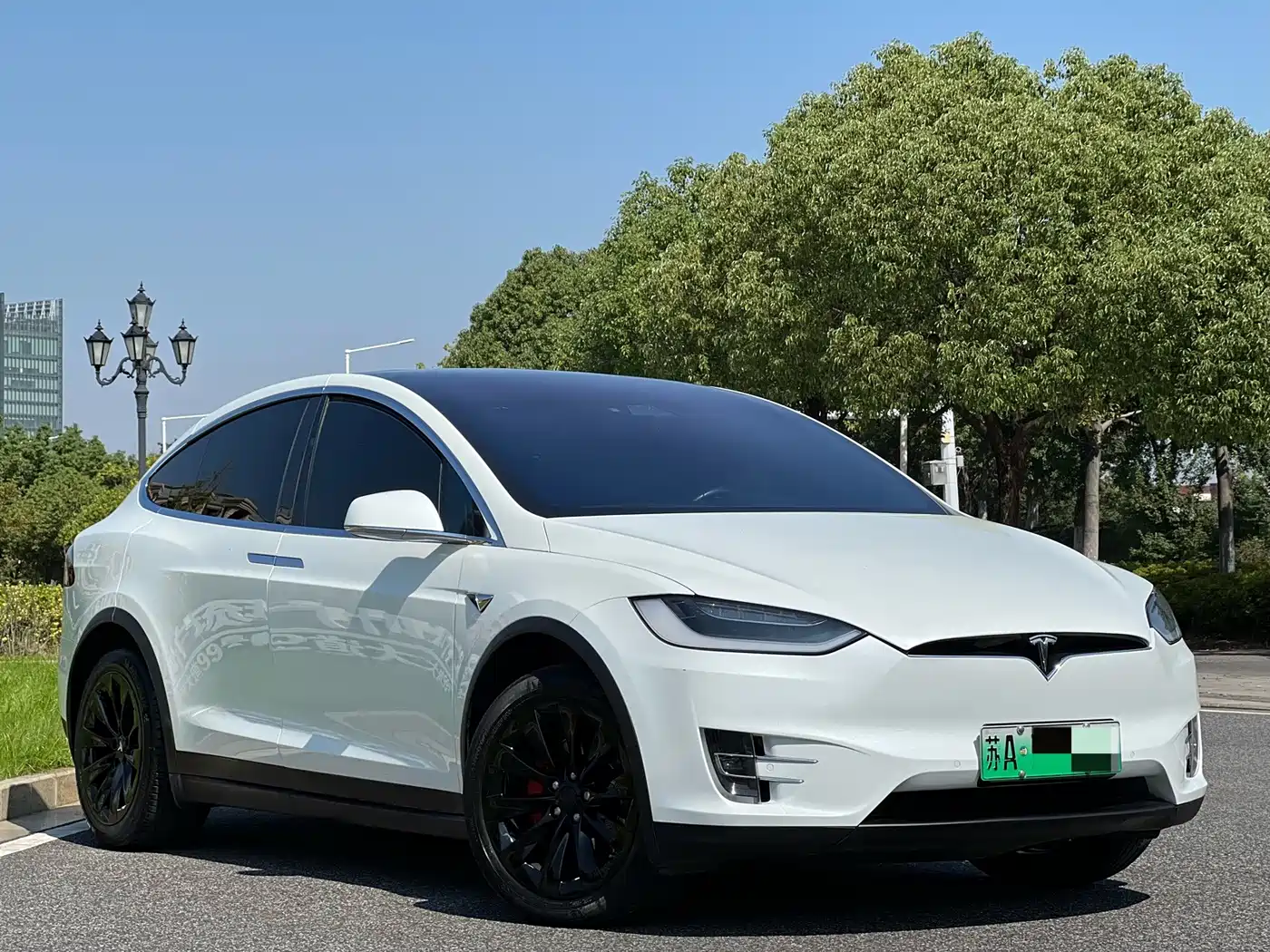 Tesla Model X 2017 2017 Model X 100D Long Range