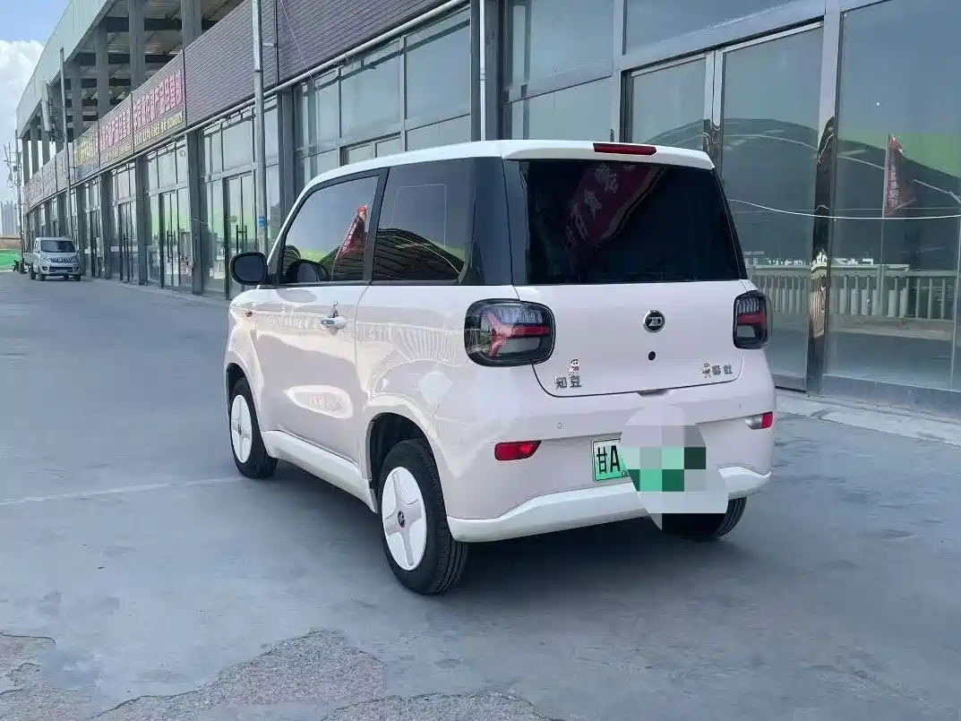 2024 Zhido Rainbow