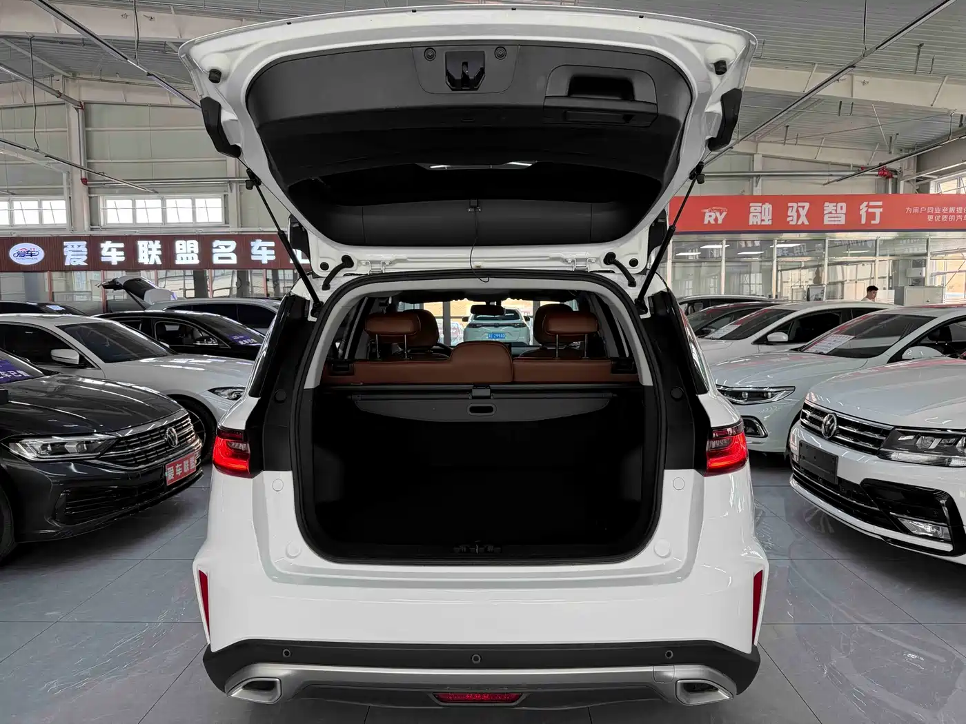 GEELY AUTOMOBILE VISION X6