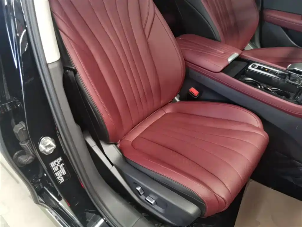 Hongqi H5 2025 2.0T Automatic Flag Celebration 500,000 Units Anniversary Edition фото 25