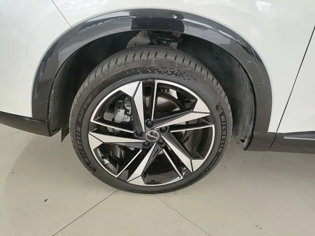 Roewe RX5 MAX 2023 2022 1.5T Auto Promising Luxury Edition