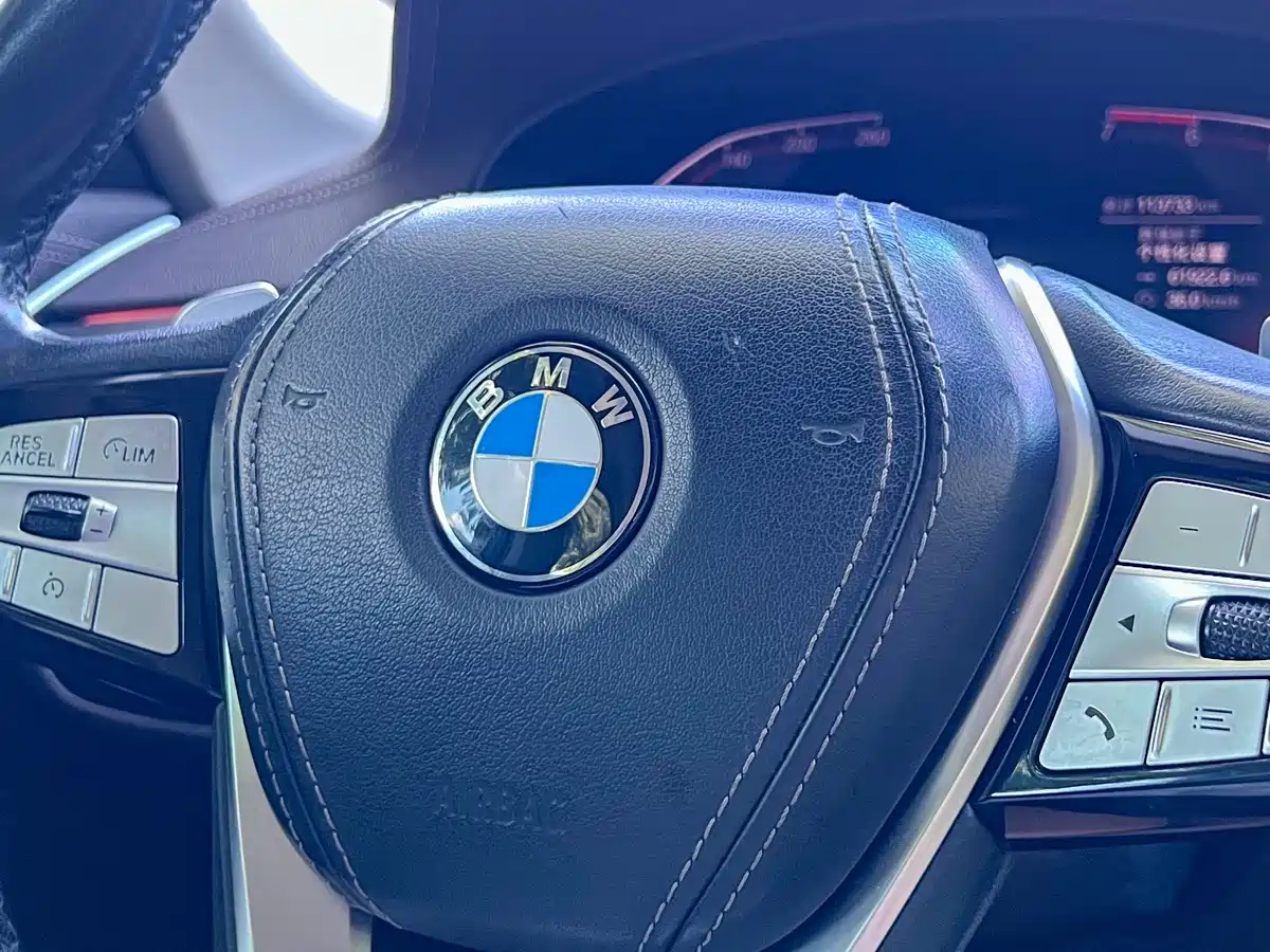 BMW 5 Series 2020 530Li Leading Luxury Package фото 10