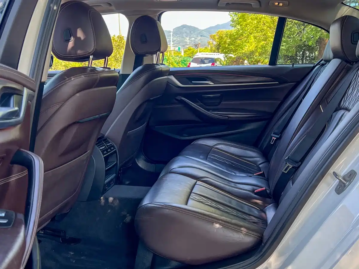 BMW 5 Series 2020 530Li Leading Luxury Package фото 16