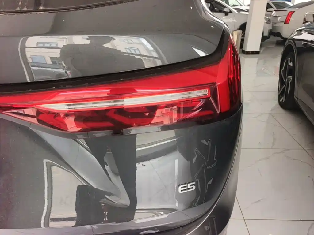 Landian E5 2024 2024 Glory Edition 100KM Comfort Type 7-Seater