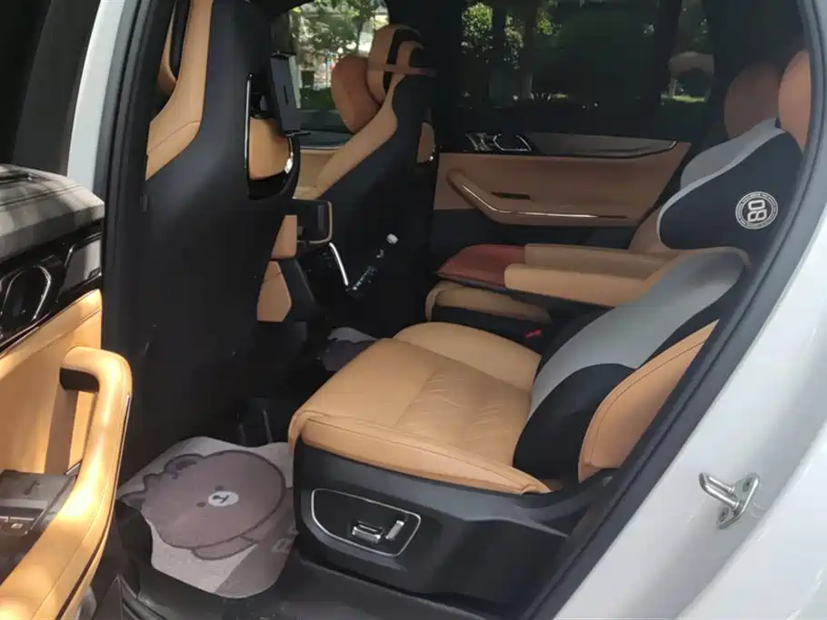 Lynk & Co 09 2021 2.0T Halo 6-Seater фото 11