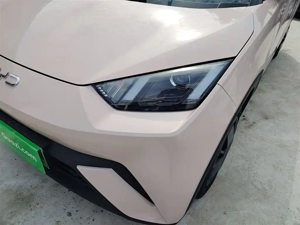 BYD Seagull 2025 305km Vitality фото 24