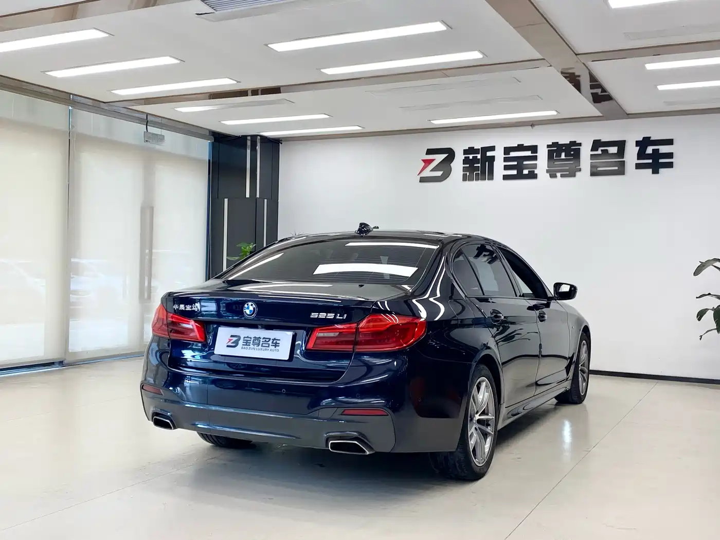 BMW 5 Series 2019 525Li M Sport Package фото 19