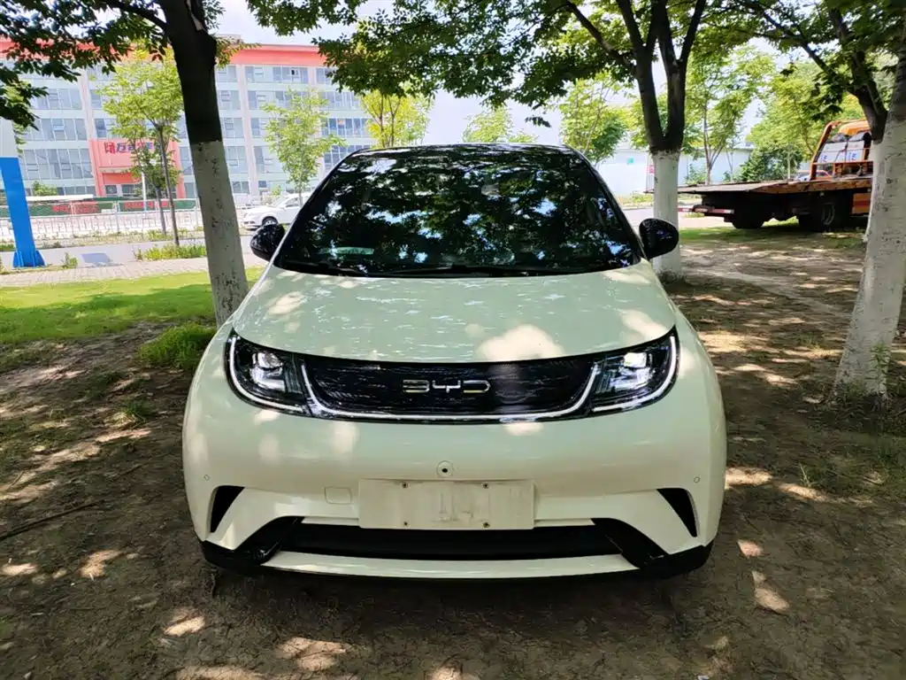 BYD Dolphin 2023 420km Fashion Edition фото 3