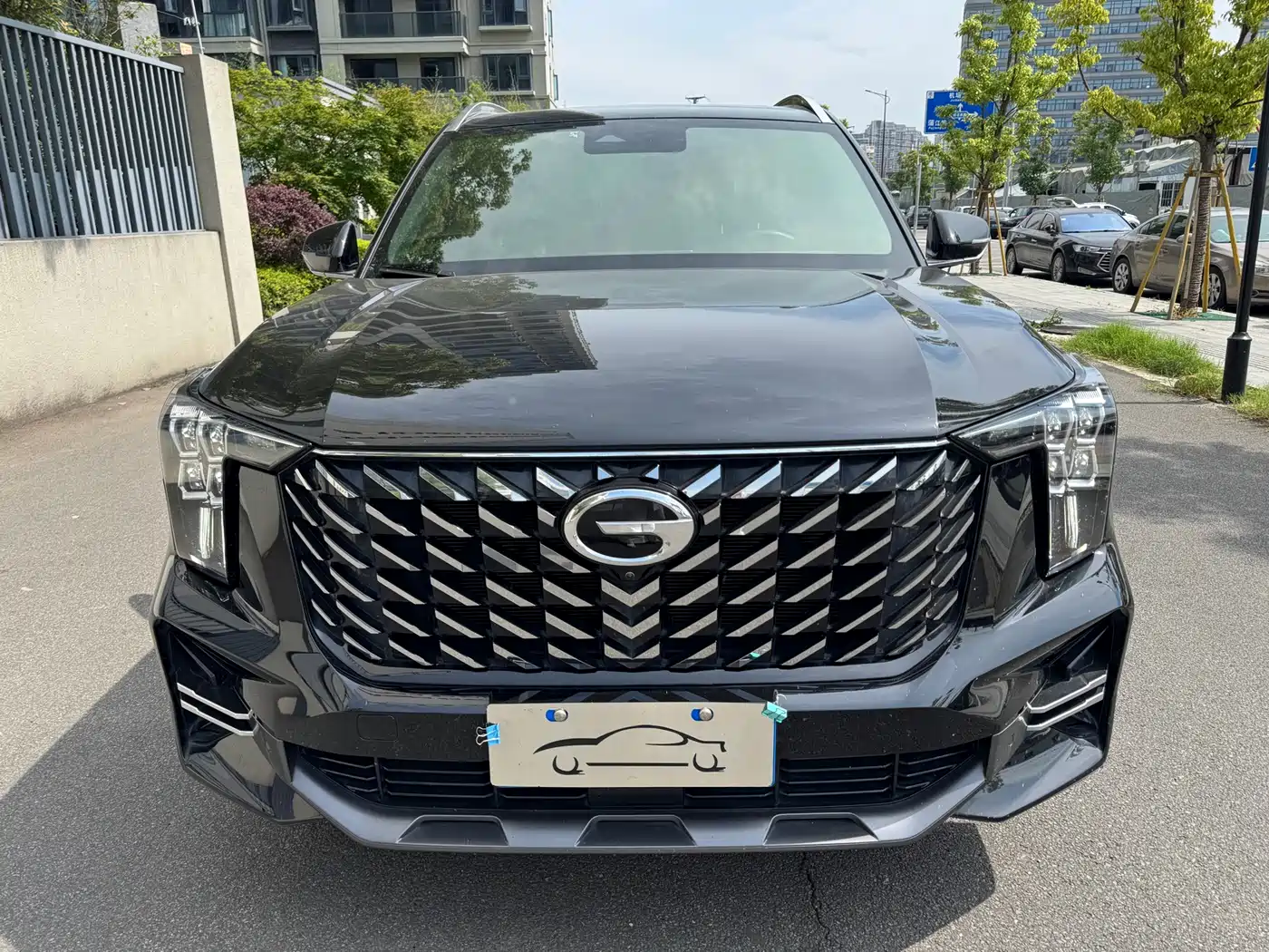 GAC Trumpchi Trumpchi GS8 2022 Pilot Series 2.0TGDI 2WD Luxury Smart Connect Edition (7-Seater) фото 2