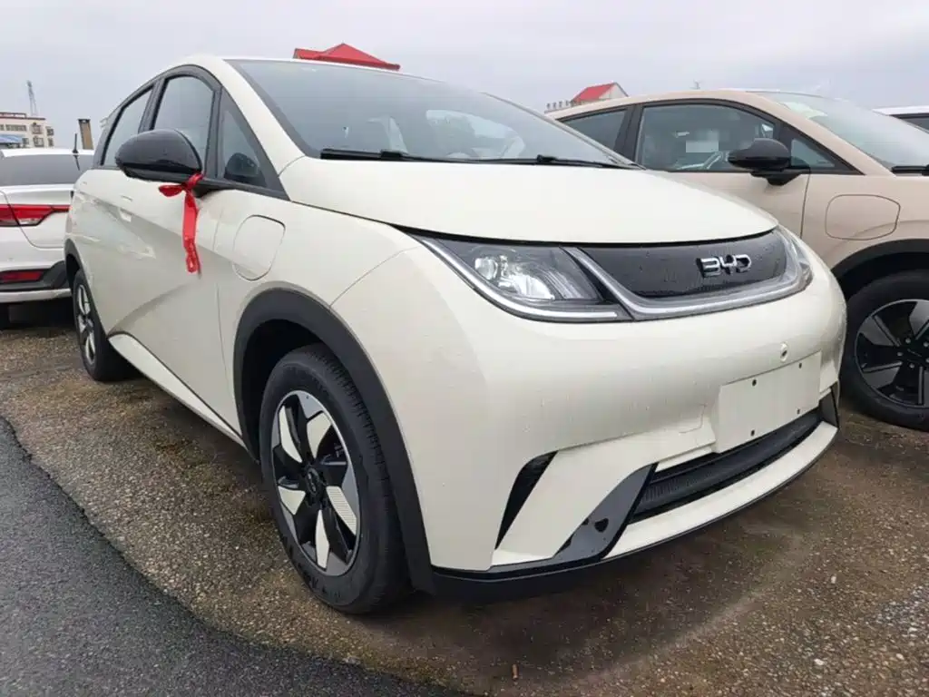BYD Dolphin 2026 2025 420km Freedom Edition