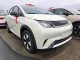 Фото 4 - BYD Dolphin