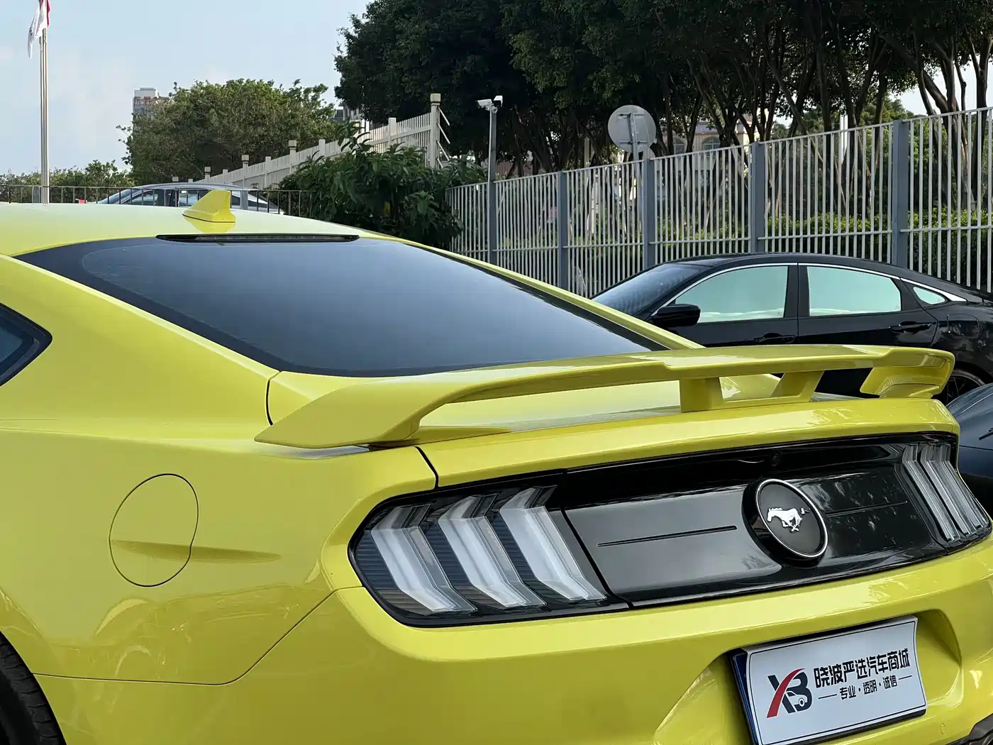 Фото 8 - Ford Mustang