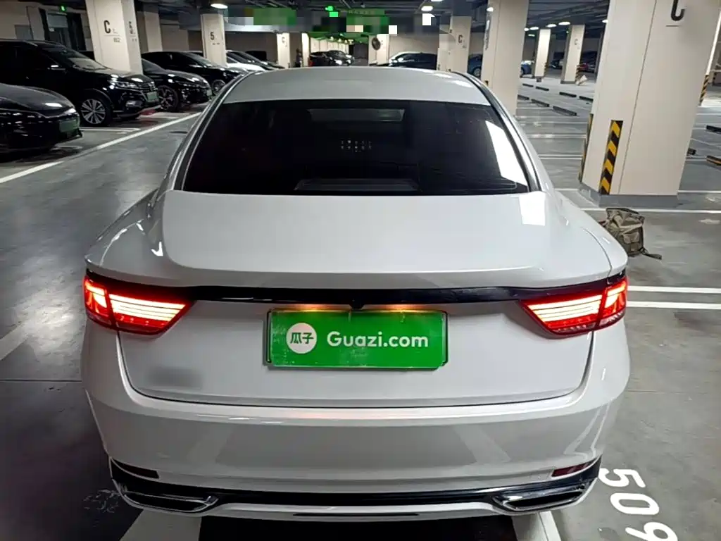 Geely Borui PHEV 2021 2021 1.5T ePro Leading Edition