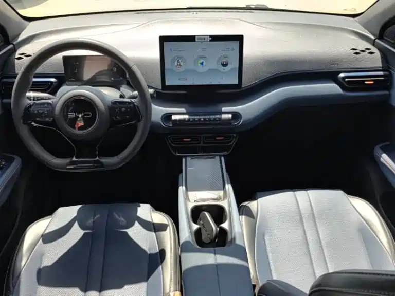 BYD Seagull 2024 Glory Edition 305km Vitality Edition фото 7