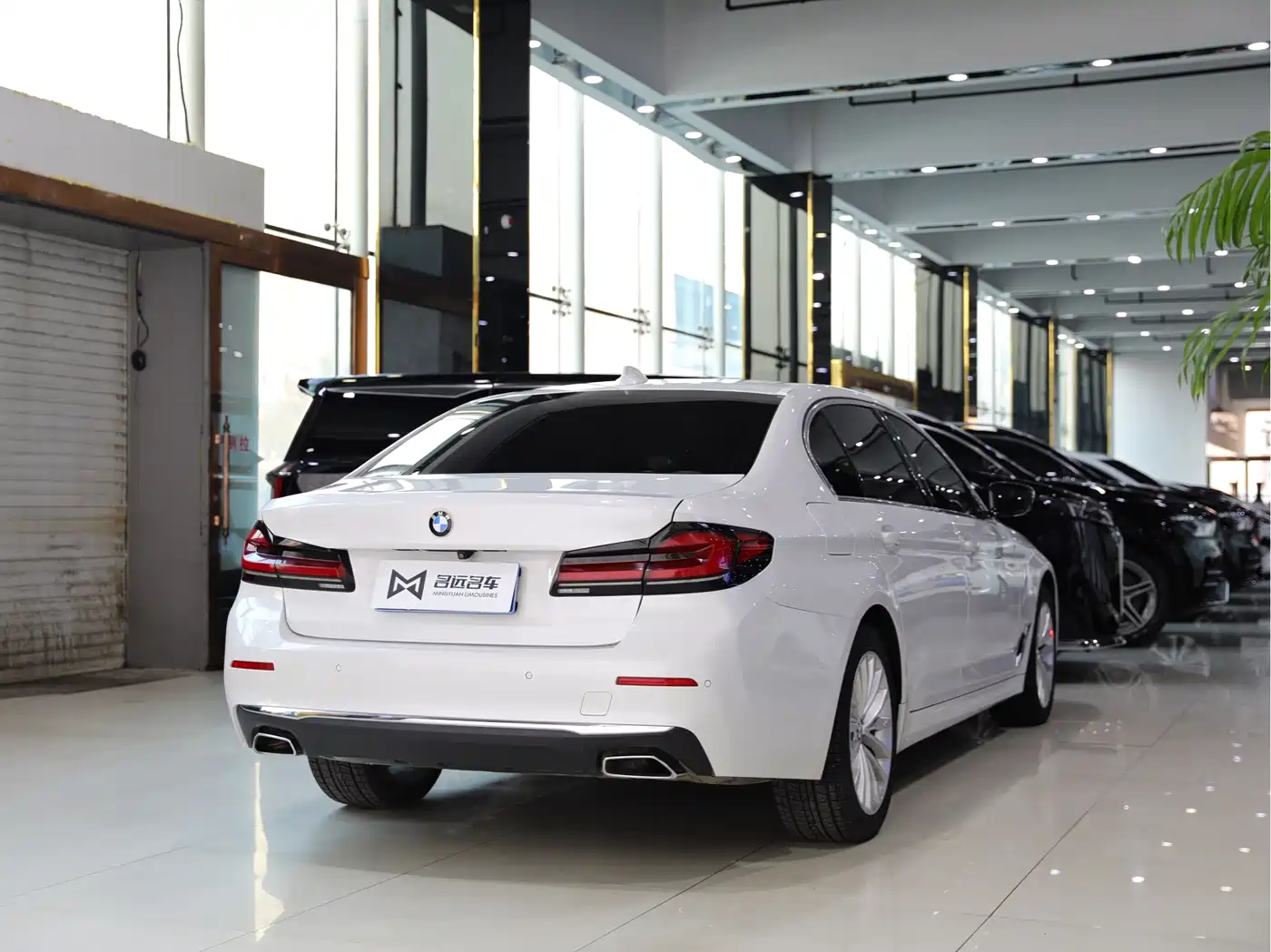 BMW 5 Series 2022 525Li Luxury Package фото 16