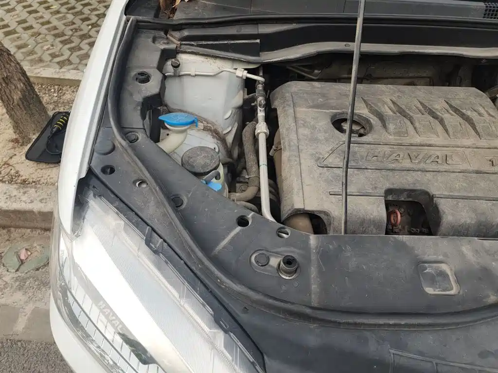 Haval H6 2018 Red Label Sport 1.5T Manual 2WD Elite фото 21