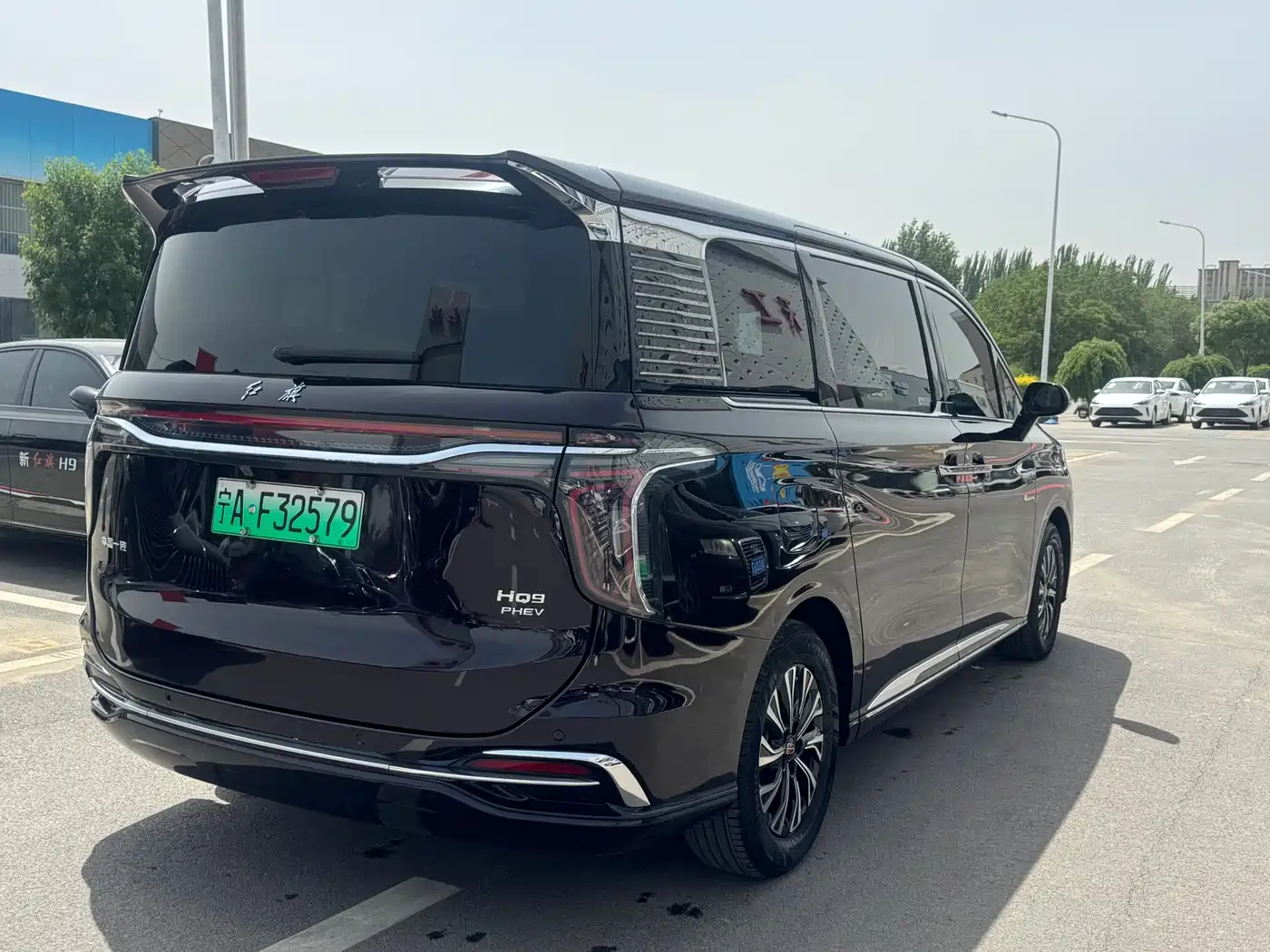 Hongqi HQ9 PHEV 2024 Model 2.0T AWD Luxury Edition фото 4