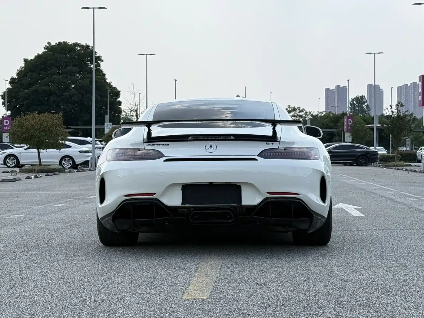 Mercedes-Benz AMG GT 2019 AMG GT фото 6