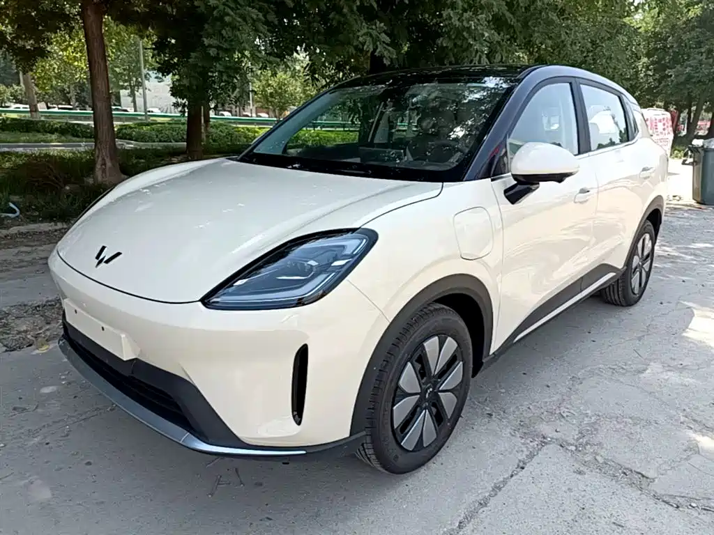 Wuling Motors Wuling Bingo S 2025 Model 325km Premium Edition