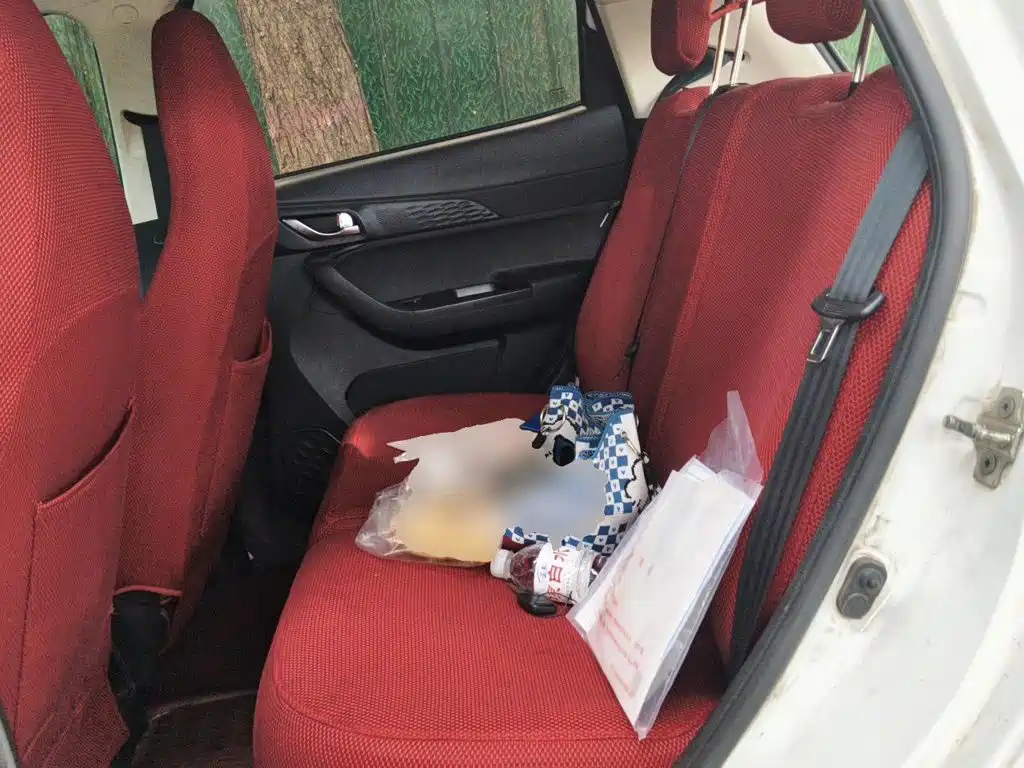 Changan Benben E-Star 2022 2022 Serenity Edition Colorful LFP