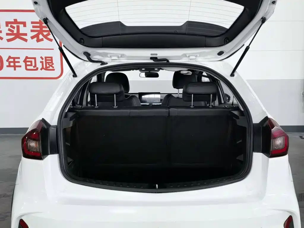 Geely Geometry EX3 Kung Fu Bull 2022 2021 Strong Bull