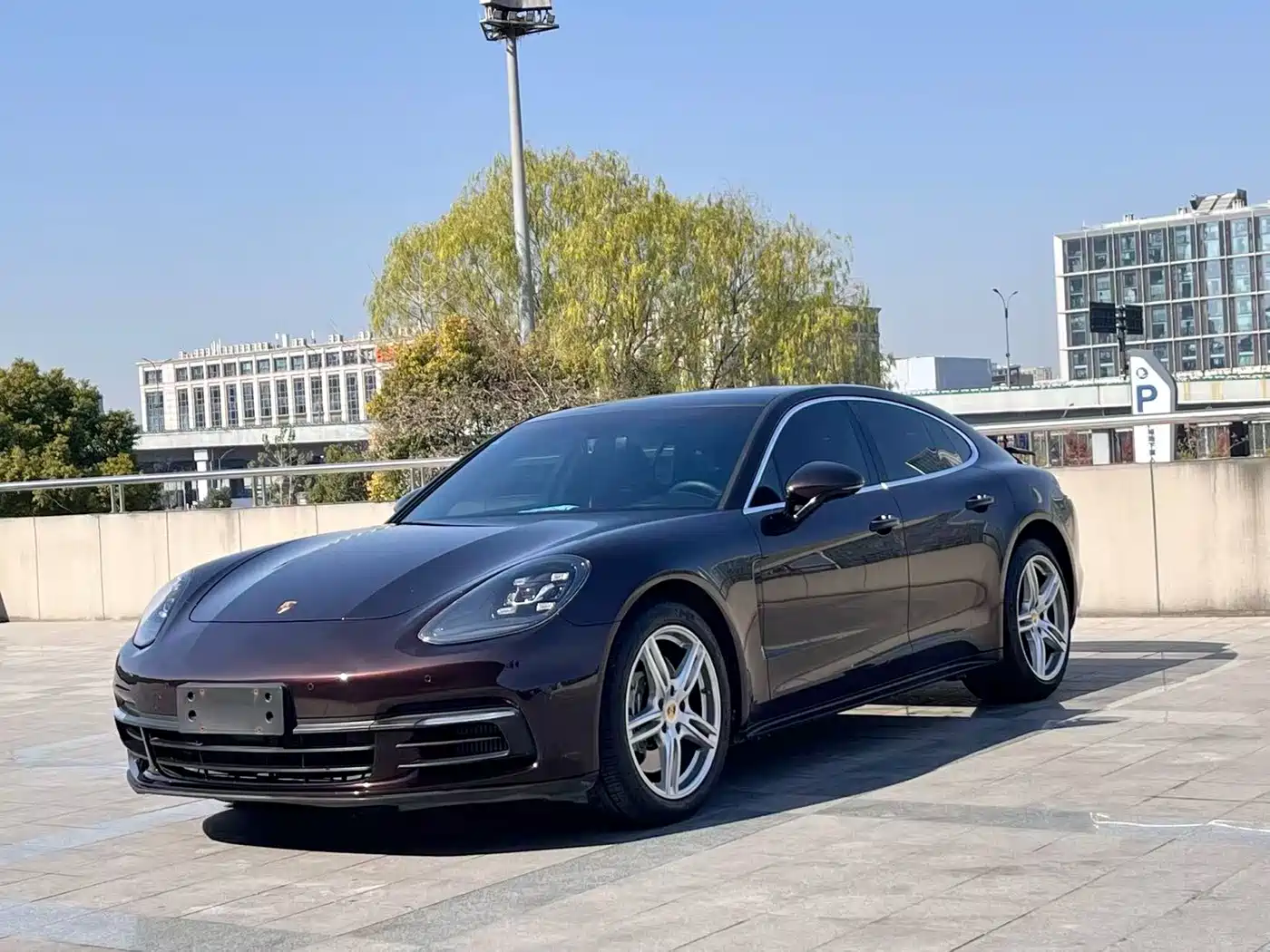 Porsche Panamera 2020 Panamera 10th Anniversary Edition 2.9T