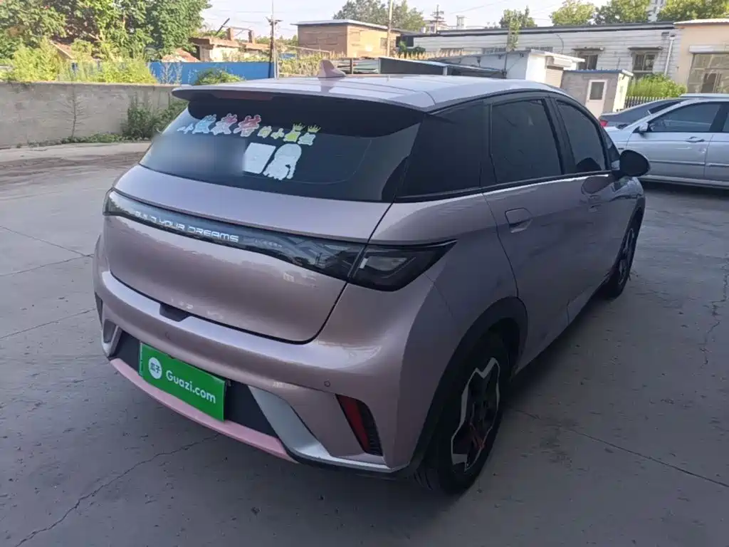 BYD Dolphin 2022 2021 Model 405km Fashion Edition