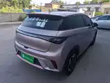 Фото 7 - BYD Dolphin