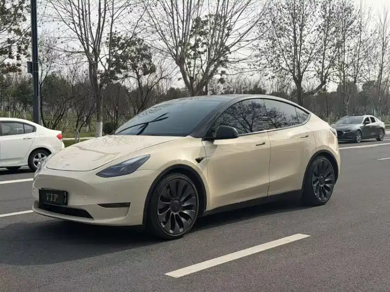 Фото 1 - Tesla Model Y