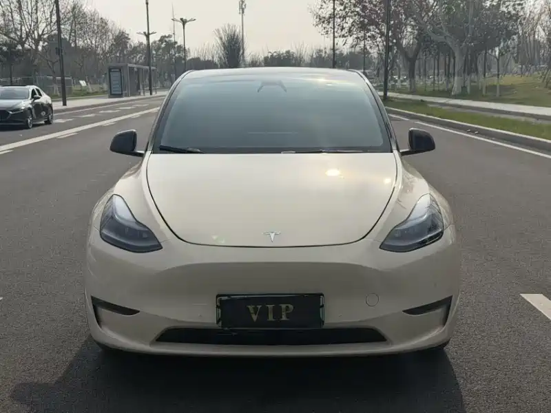 Фото 2 - Tesla Model Y