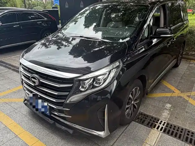 Trumpchi M8 Elegance Series, 390T, Люкс